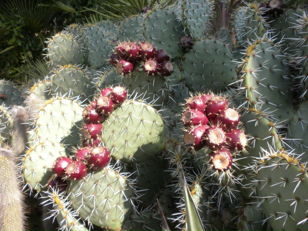 Надежда Баканова фотография #24