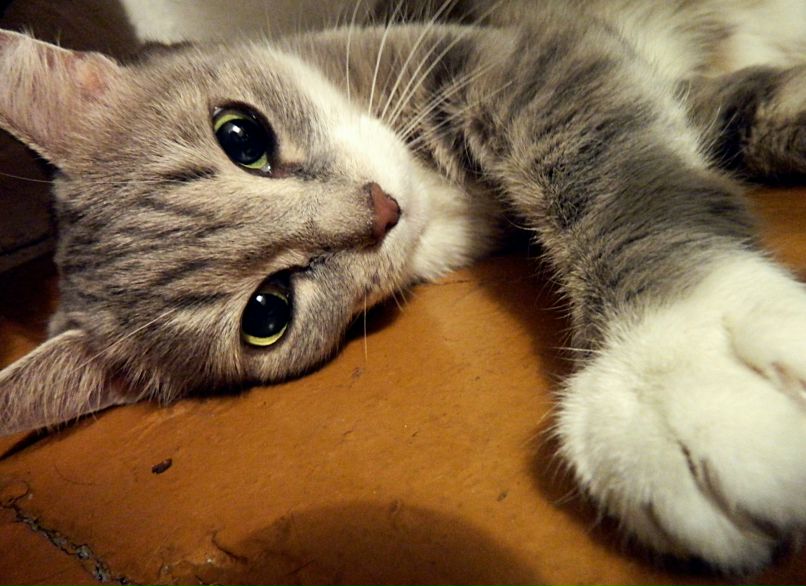 Ирина Коломникова фотография #44