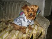 Фотография Полихи Маргариты