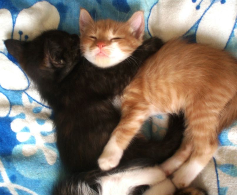 Еля Матвийчук фотография #7