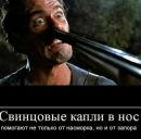 Дмитрий Есев фотография #25 (источник - https://vk.com/id144419745)