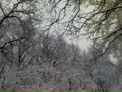 Галя Зелінська фотография #1