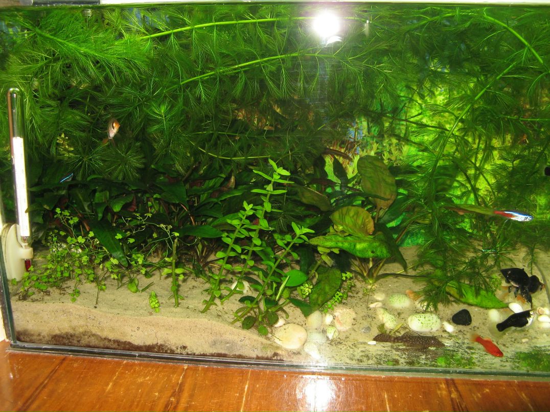 Сергей Андреянов фотография #40