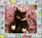 Фотография Хартович Марии