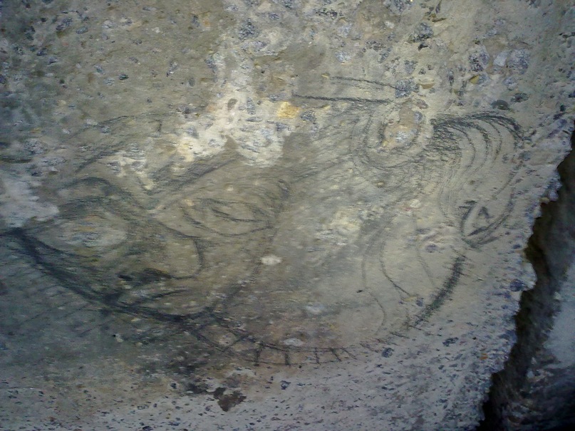 Данил Ушаков фотография #27