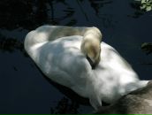 Фотография Игнатовой Владиславы