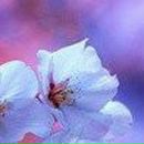 Катерина Ільїна фотография #38 (источник - https://vk.com/id9328914)