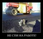 Дмитрий Сидоров фотография #22 (источник - https://vk.com/id2388749)