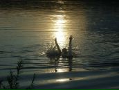 Фотография Хрущёва Максима