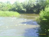 Рустем Лутфуллин фотография #31 (источник - https://vk.com/id8515565)