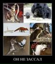 Максим Вітковський фотография #17 (источник - https://vk.com/id54089194)