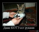 Ігорь Круподеря фотография #33 (источник - https://vk.com/id26804527)