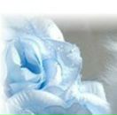 Анастасія Гудзак фотография #34 (источник - https://vk.com/id98965948)