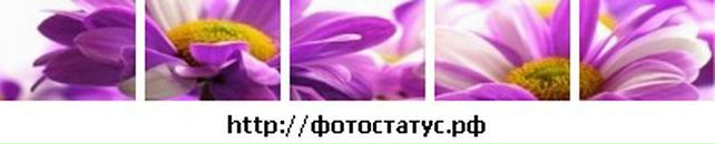 Марта Спільник фотография #1