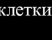 Іван Бровкін фотография #38 (источник - https://vk.com/id129781638)