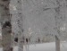 Едітка Йовбак фотография #30 (источник - https://vk.com/id96335180)