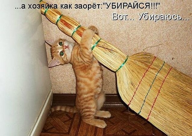 Татьяна Водолажченко фотография #44