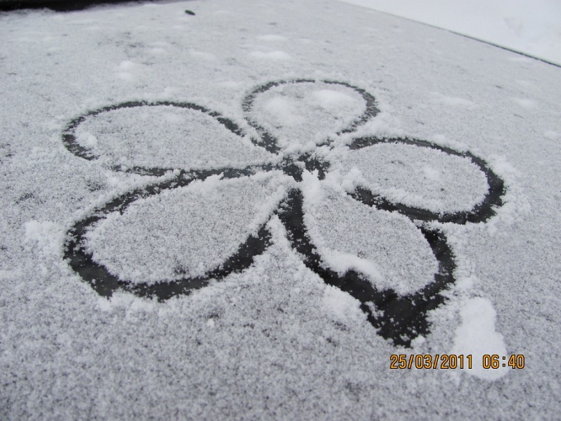 Ольга С фотография #12