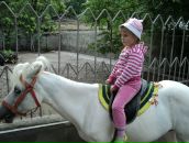 Віка Дзурич фотография #18 (источник - https://vk.com/id145006136)