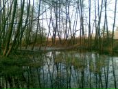 Сергій Манжура фотография #41 (источник - https://vk.com/id155292009)