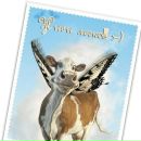 Фотография Клубовой Надежды