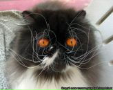 Фотография Демидюка Алексея