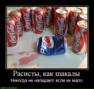 Андрей Чеснюк фотография #49 (источник - https://vk.com/id9616680)