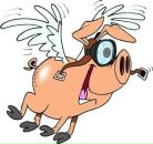 Фотография Рабани Алисы