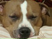 Фотография Маликова Владимира