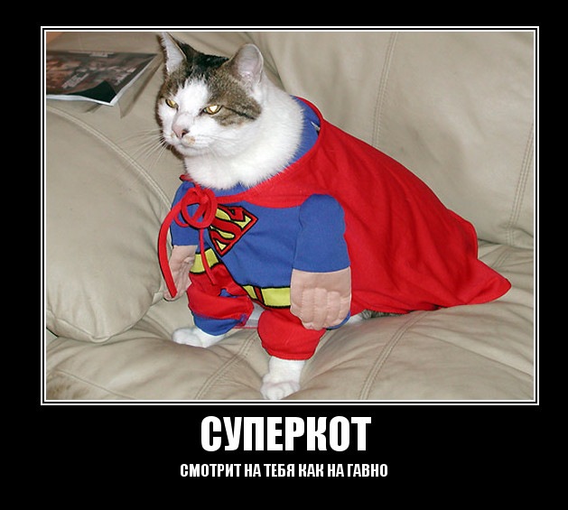 Игорь Котенко фотография #11