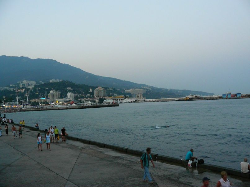 Дмитрий Москалёв фотография #17