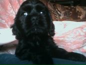 Катя Брэйн фотография #2 (источник - https://vk.com/id360531)