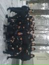 Василь Сідей фотография #45 (источник - https://vk.com/id27165722)