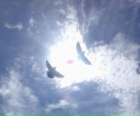 Фотография Комаровой Ирины