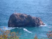 Фотография Грибова Серёжи