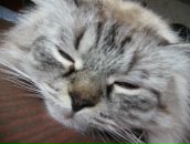 Фотография Бородавко Машульки