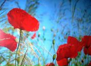 Фотография Ефимовой Анны