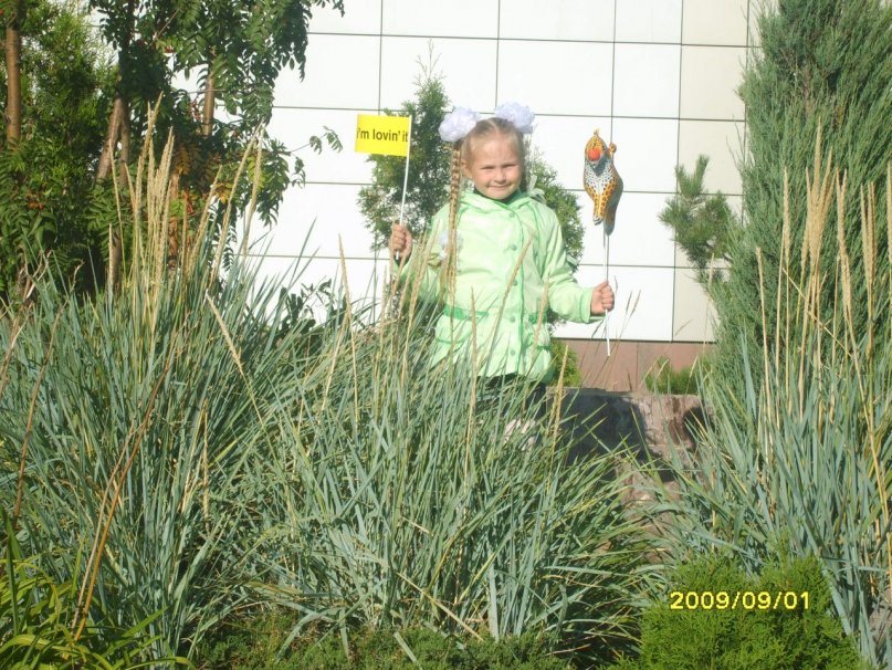 Наталья Варавко фотография #36