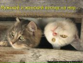 Фотография Пынзарь Илоны