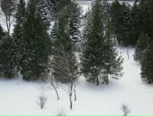 Янгол Кєдах фотография #44 (источник - https://vk.com/id85010421)