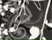 Марія Павлишин фотография #48 (источник - https://vk.com/id66793362)