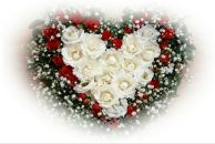 Фотография Найшевой Дарьи