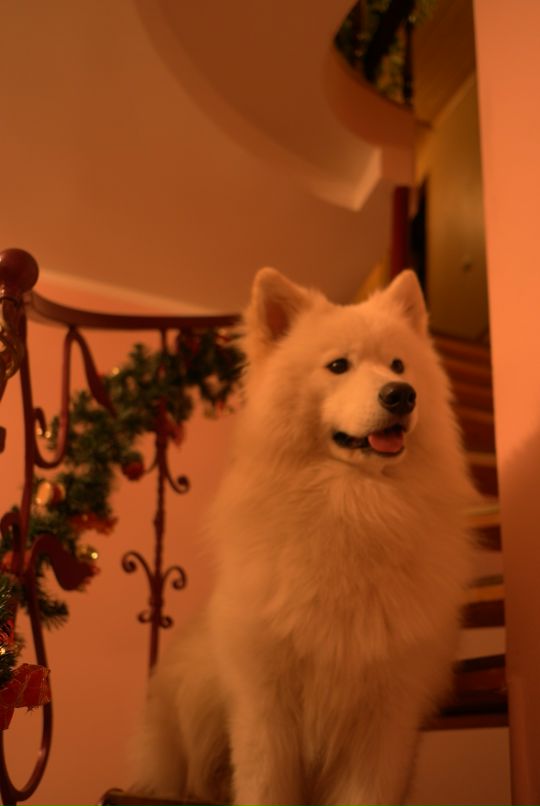 Александра Федосеева фотография #7