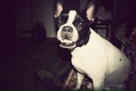 Фотография Unterberg Inna