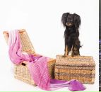 Ann Κалашникова фотография #36 (источник - https://vk.com/id58450599)