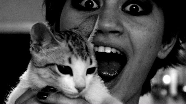 Cat Devil фото №9