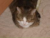 Ася Дранко фотография #10 (источник - https://vk.com/id80286035)