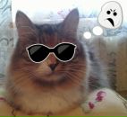 Фотография Ривер Ден