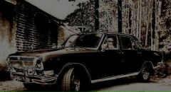 Фотография Старкова Дениса