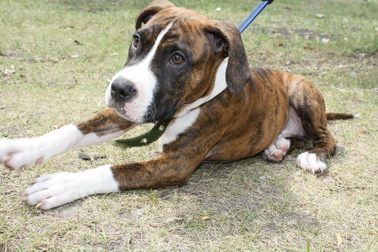 Кирилл Митяев фотография #12